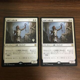 光輝王の野心家　2枚