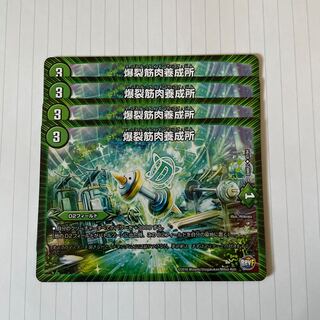 爆裂筋肉養成所