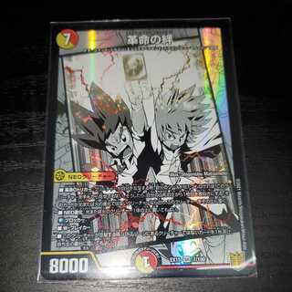 (特価)革命の絆