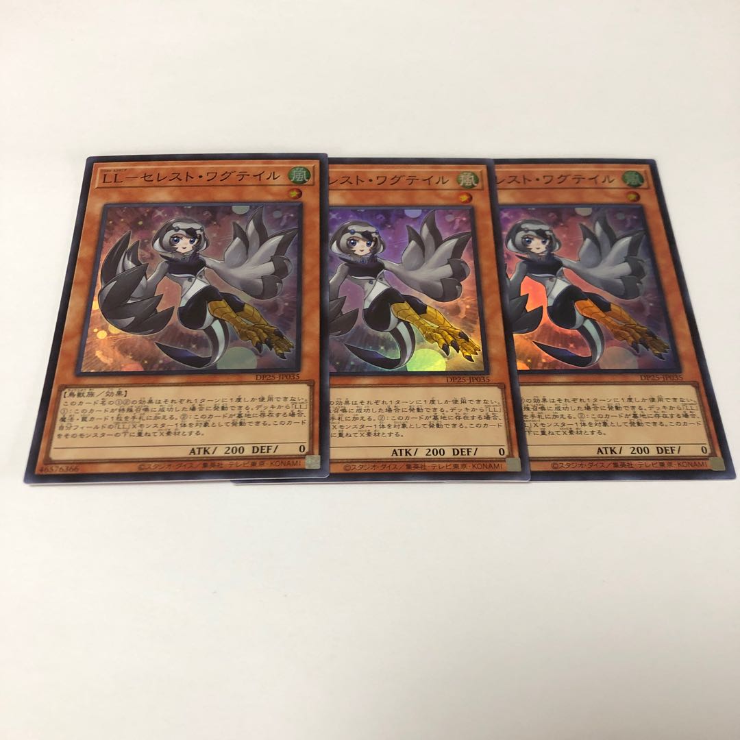 LL-Celeste Wagtail Super Rare