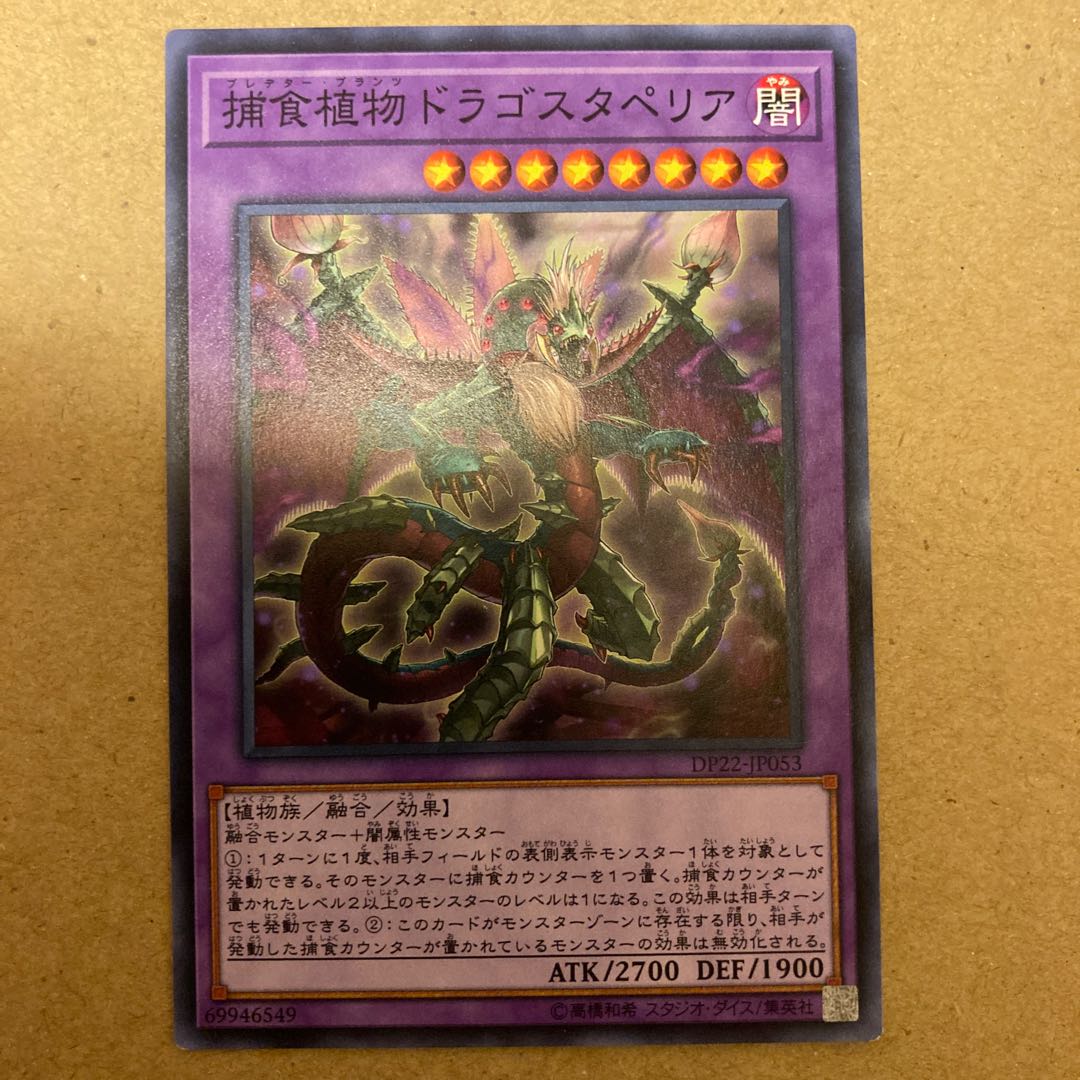 捕食植物ドラゴスタペリア ノーマル