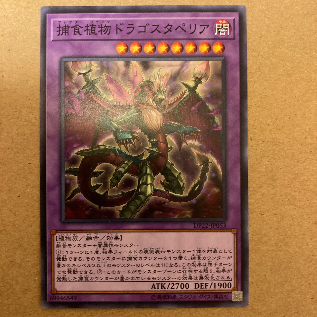 捕食植物ドラゴスタペリア ノーマル