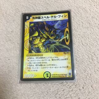 光神龍スペル・デル・フィン