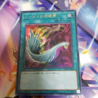 Harpie's Feather Duster Ultra Rare RC02