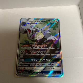 シルヴァディGX SA