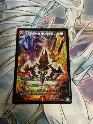 瞬閃と疾駆と双撃の決断