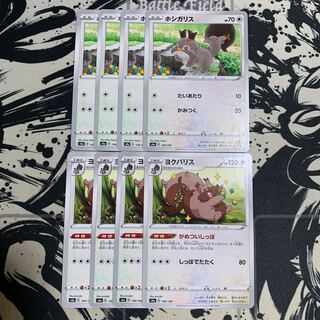 ホシガリス　ヨクバリス