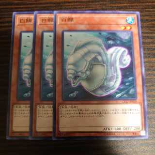 白鱓 ノーマル 3枚セット