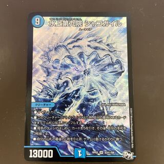 水上第九院 シャコガイル