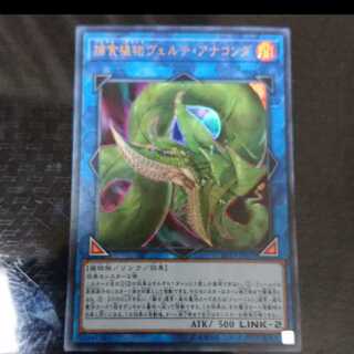 捕食植物ヴェルテ・アナコンダ ウルトラレア