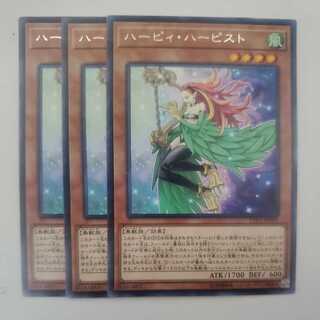 Harpie Harpist Rare, Set of 3