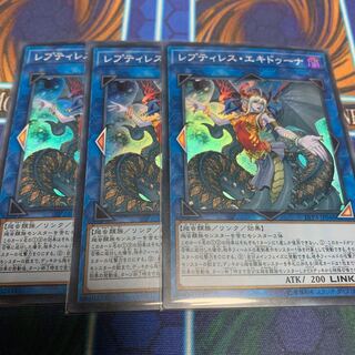 レプティレス・エキドゥーナ　専用