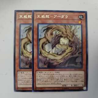 天威龍-アーダラ 2枚セット