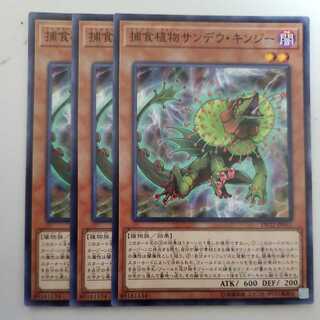 捕食植物サンデウ・キンジー 3枚セット