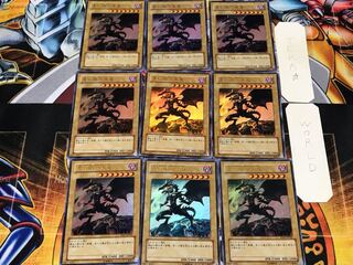 Red-Eyes Black Dragon YAP1 2 Ultra 9-Piece Set Terra