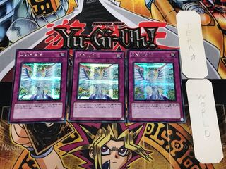 反射光子流 3 シークレット 3枚セット てら