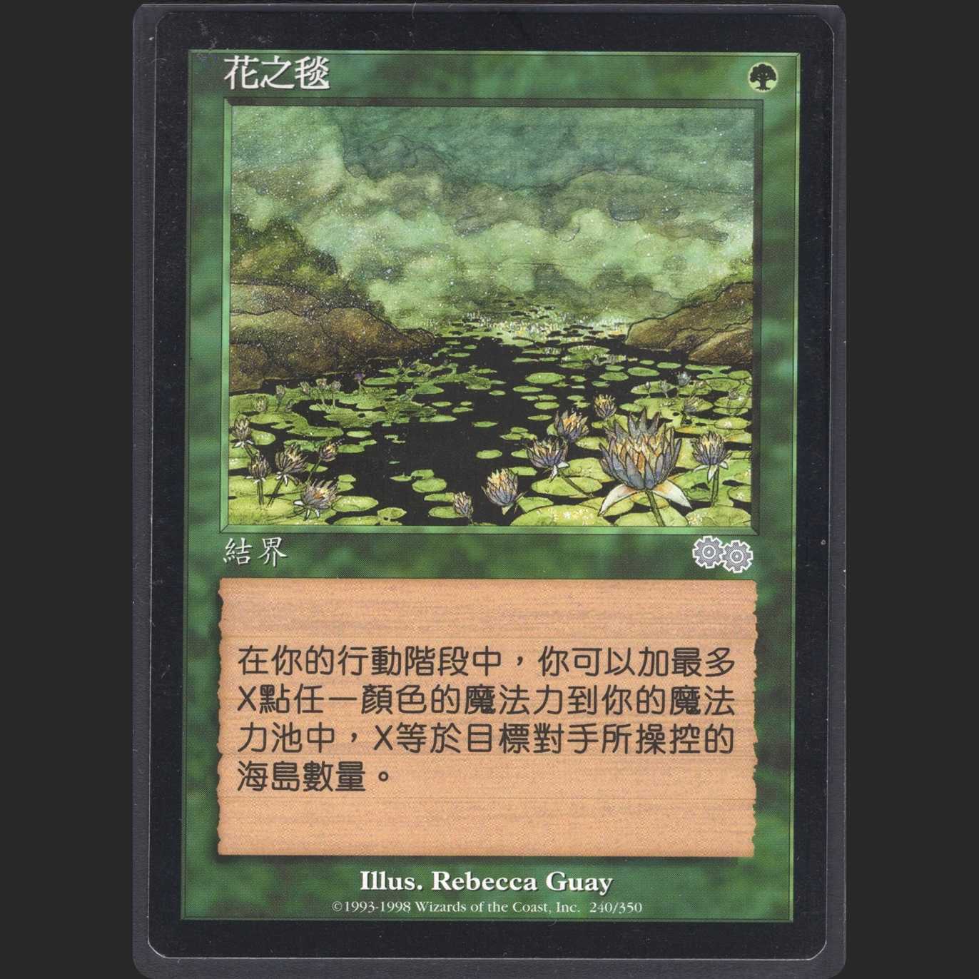 【中】花の絨毯[USG]【エクセレント】/管理:MM0027A