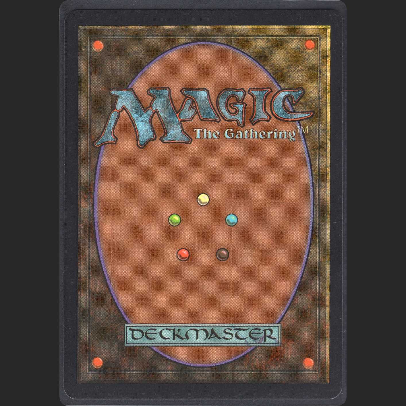 【英】実物提示教育 [USG]【ニアミント】/管理:MM0028A