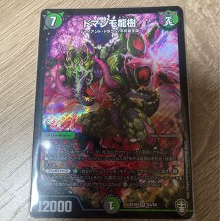 ドマンモ龍樹 SR