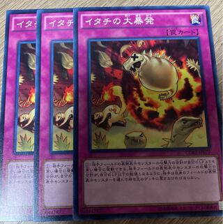 イタチの大暴発　3枚