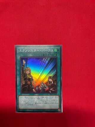 エクソシスター・パークス