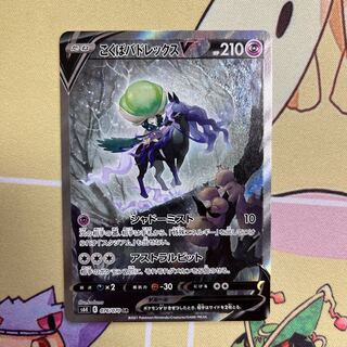 Beautiful] Kokuba Budrex V sa