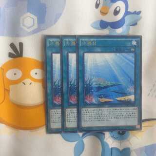 509 水舞台 3枚 鮭イクラ商店