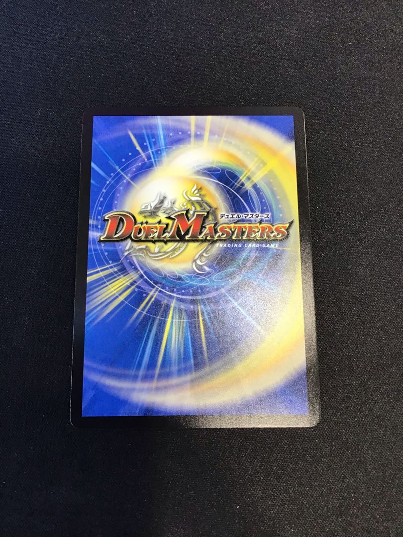 "Holy Knight of Lightning" SR