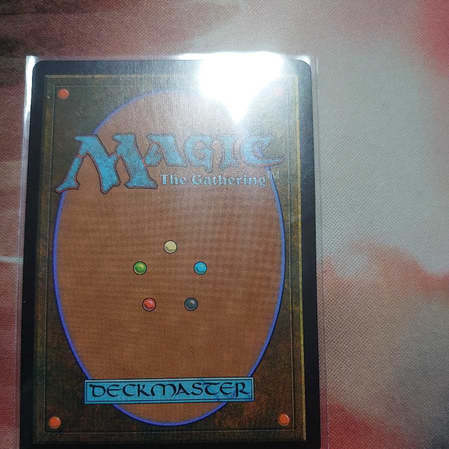 敏捷なこそ泥、ラガバン(英)