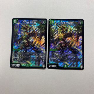 ブラキオ龍樹 2枚