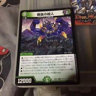 セット割引  樹食の超人