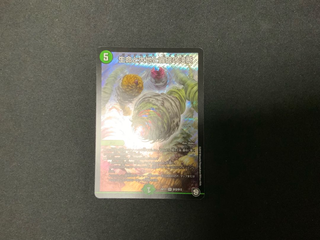 生命と大地と轟破の決断