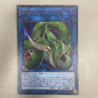 捕食植物ヴェルテ・アナコンダ ウルトラレア