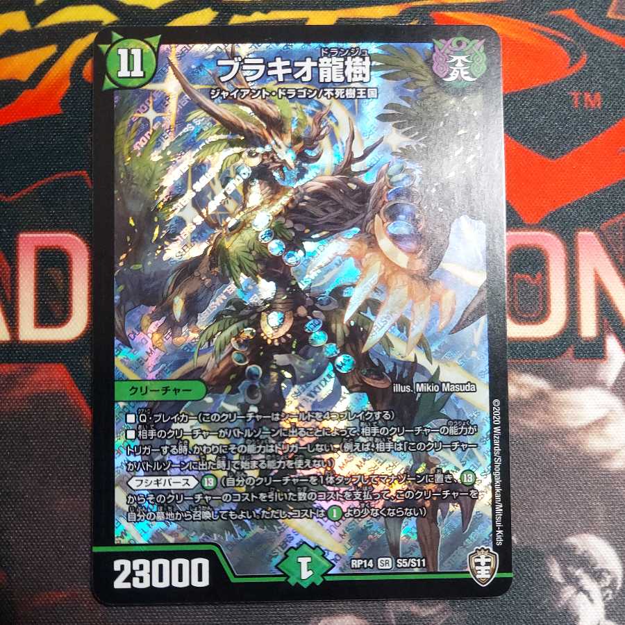 ブラキオ龍樹 1枚