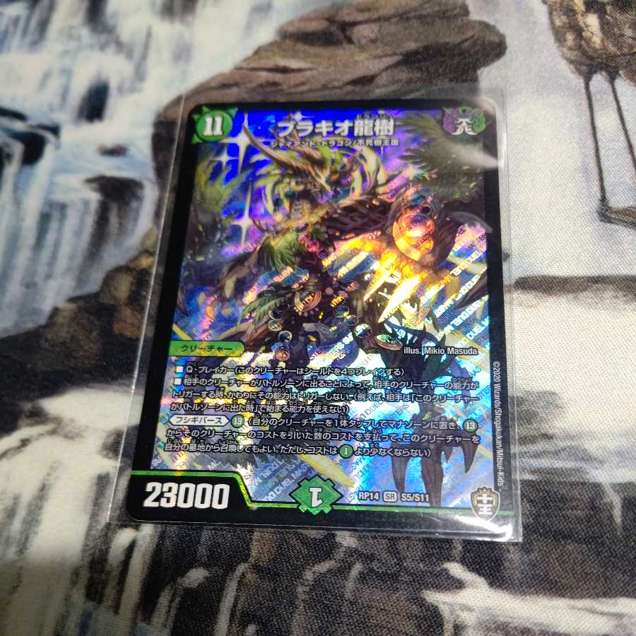 ブラキオ龍樹 1枚