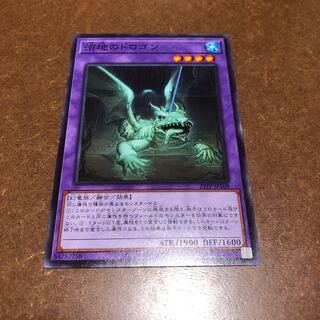 沼地のドロゴン ノーマル