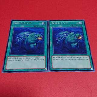 強欲なウツボ SD23版ノーマル２枚