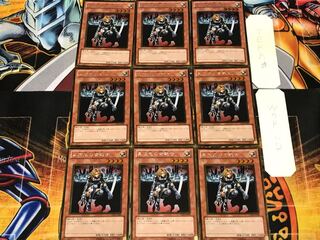 D.D. Warrior Lady 1 Gold, Set of 9, Terra