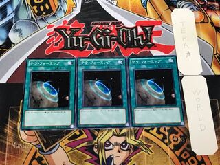 テラ・フォーミング SD21 2 ノーマル 3枚セット てら