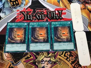 Valley of Sleep of Kings - Necro Valley GS04 2 Normal, set of 3 Tera.