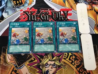 化石調査 ANPR 3 ノーマル 3枚セット てら