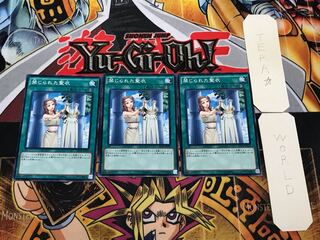 禁じられた聖衣 SD29 2 ノーマル 3枚セット てら