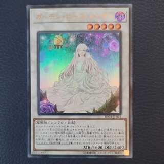 ガーデン・ローズ・メイデン UR