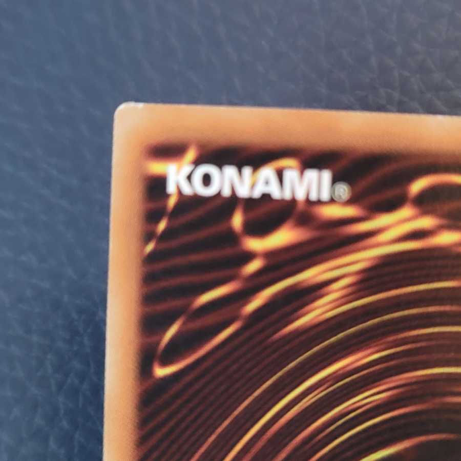 ガーデン・ローズ・メイデン UR