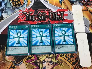 死者蘇生 SD25 3 ノーマル 3枚セット てら