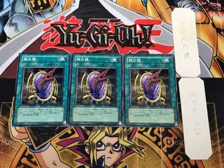 Dragon's Mirror CRV 1 Normal, set of 3 Tera