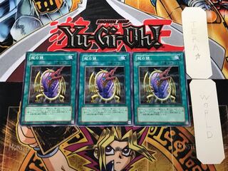 Dragon's Mirror CRV 2 Normal, set of 3 Tera