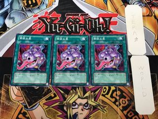 Pot of Avarice SD15 2 Normal, set of 3 Tera.