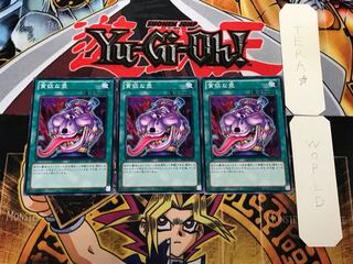 Pot of Avarice SD23 3 Normal Set of 3 Tera