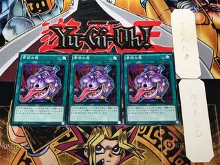 Pot of Avarice SD28 2 Normal, set of 3 Tera.